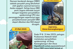 Pemeriksaan Epidemiologi DBD